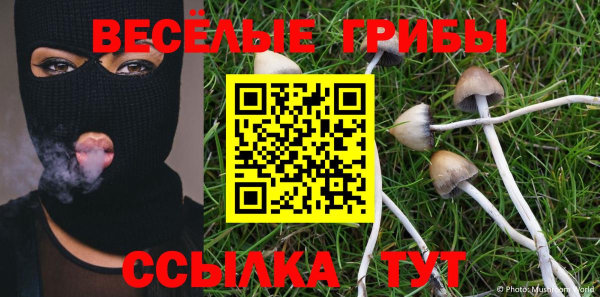 как найти наркотики  Псилоцибиновые грибы прущие грибы  Новокуйбышевск  Вход с VPN  Галлюциногенные грибы прущие грибы 