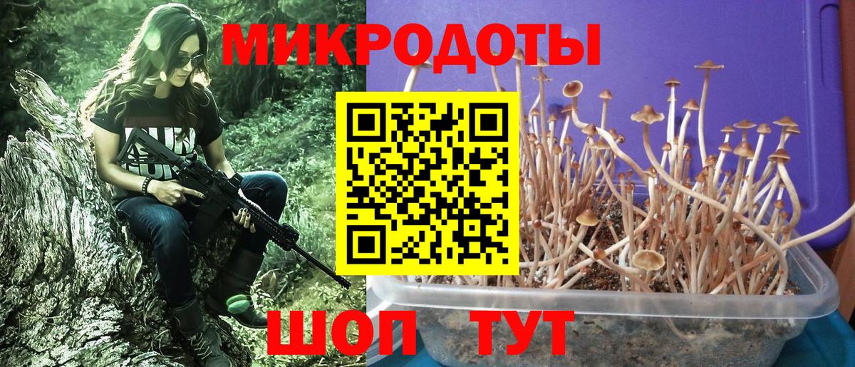 Псилоцибиновые грибы Magic Shrooms Новокуйбышевск